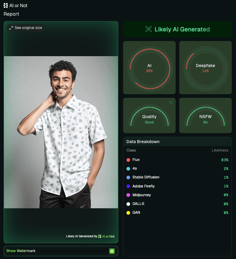 Luigi Mangione AI detection report Luigi Mangione AI detection report