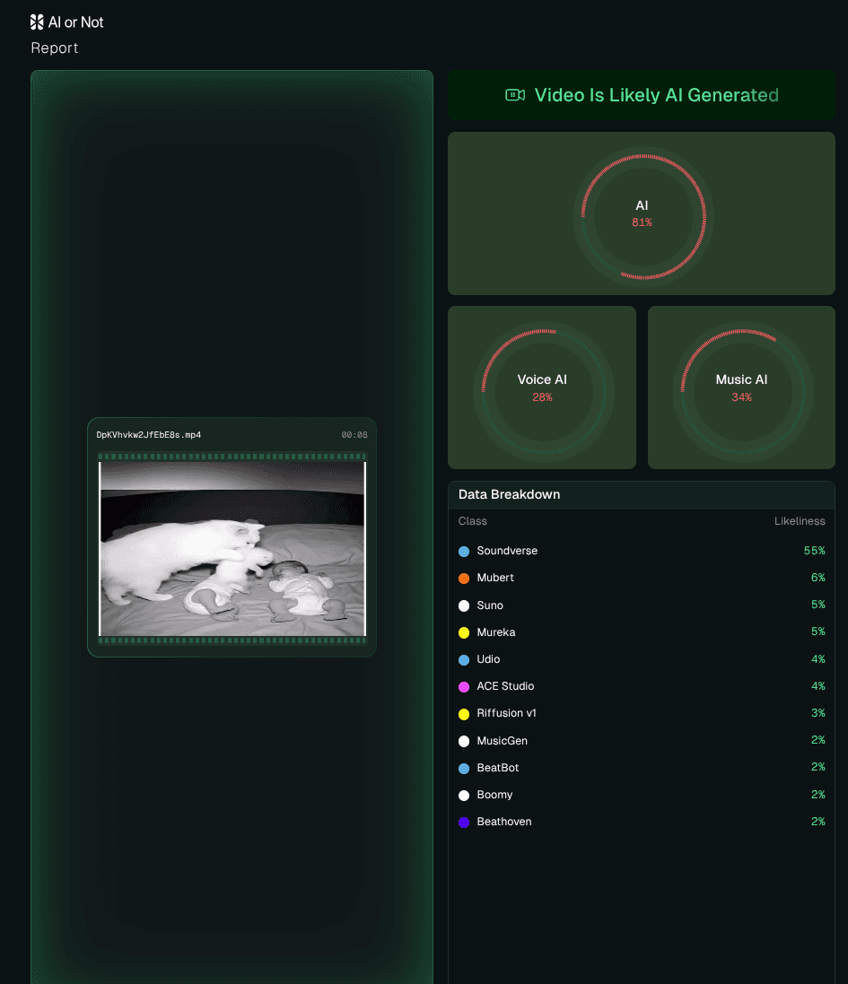 AI or Not Video Detection Report AI or Not Video Detection Report